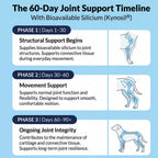 Dog Hip and Joint Support Treats product image 3