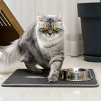 Cat Litter Mat product image 3