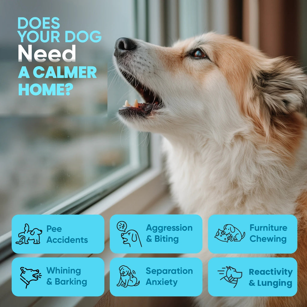 Dog Calming Diffuser product image 3