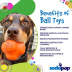 Rubber Dog Toy product image 3