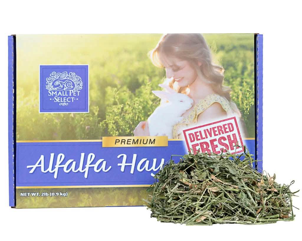 Small Pet Hay Box Alfalfa