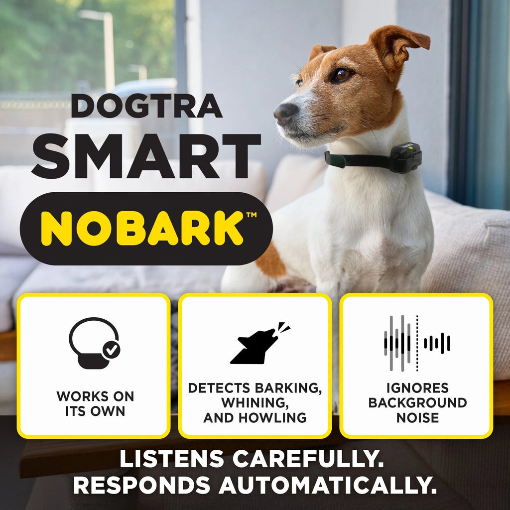 No-Bark Dog Collar product image 3
