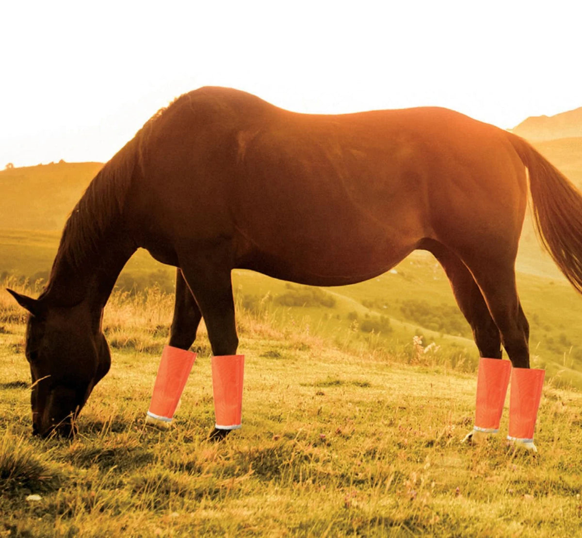 Horse Fly Boots product image 3