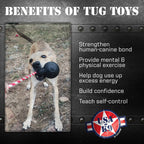 Dog Chew Toy product image 3