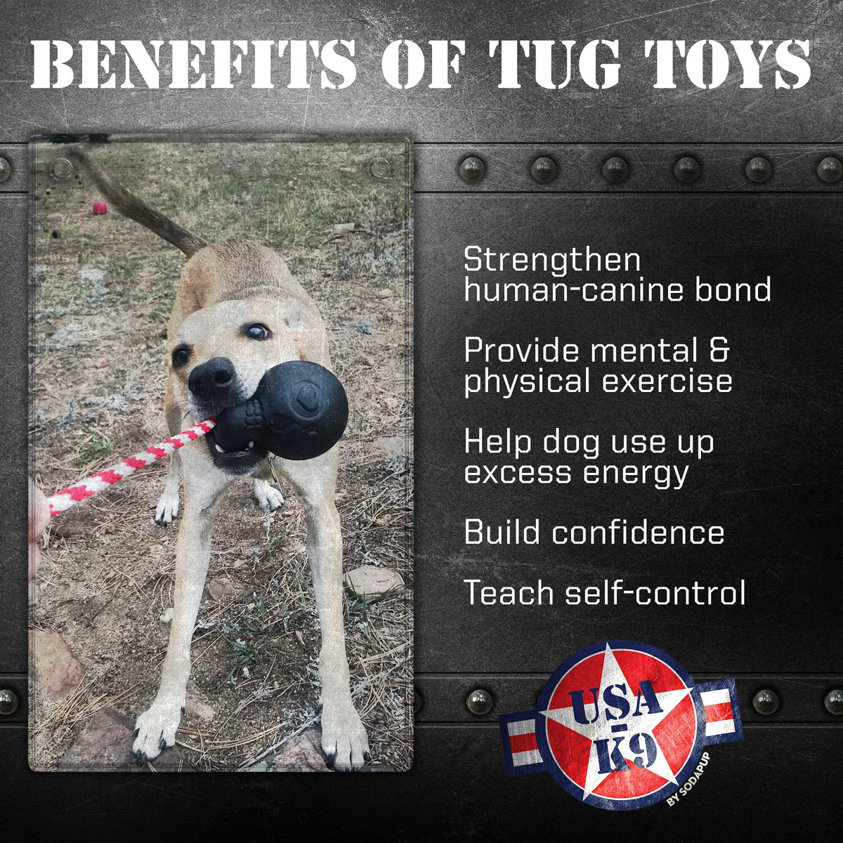 Dog Chew Toy product image 3