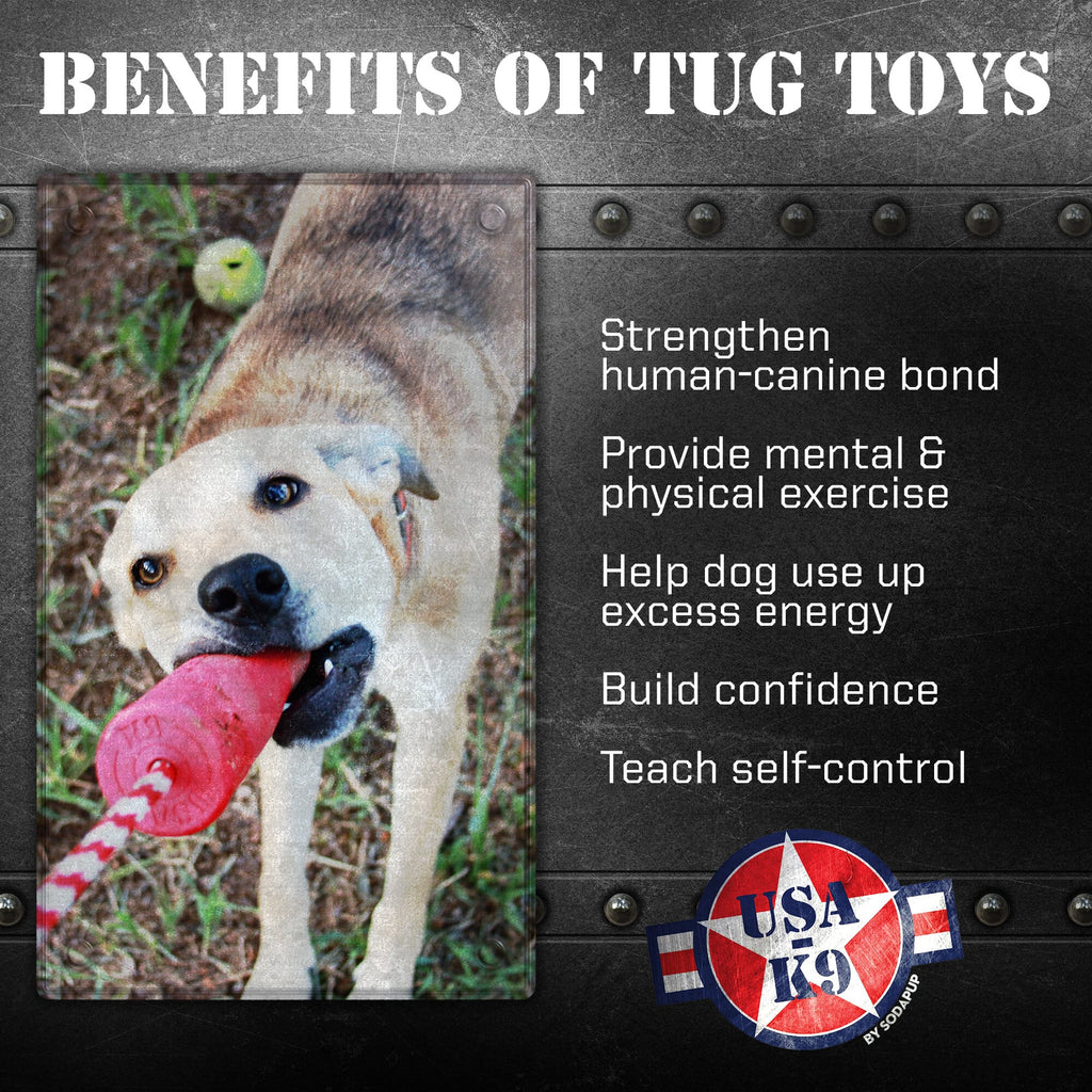 Dog Training Dummy product image 3