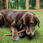 Jumbo Bully Sticks for Dogs product image 3