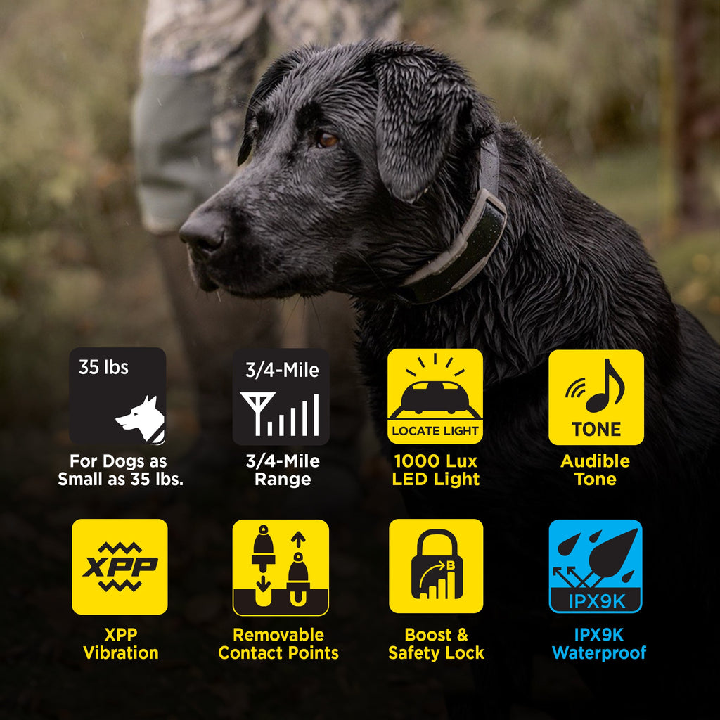 Dog Training Receiver product image 3