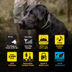 Dog Training Receiver product image 3