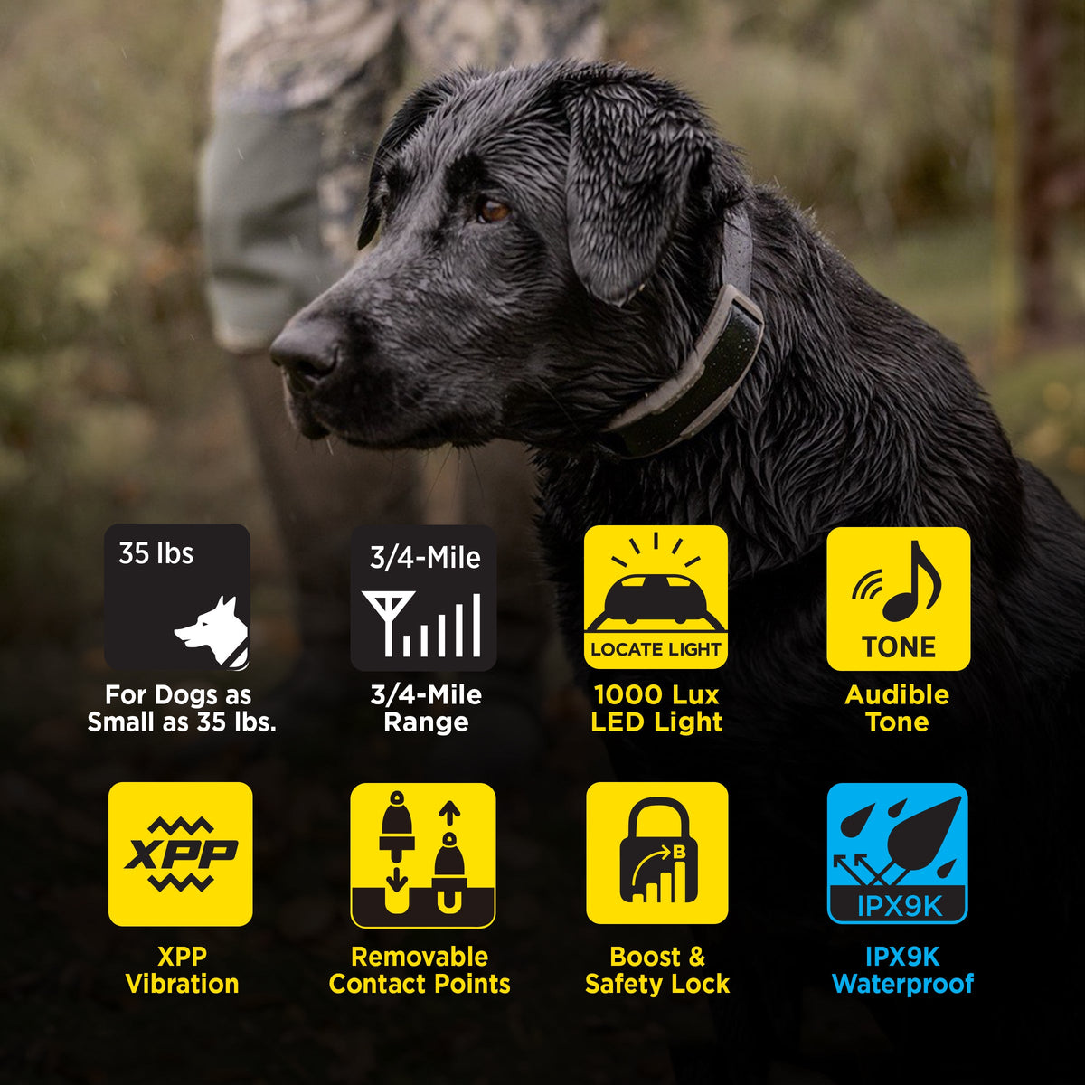 Dog Training Receiver product image 3