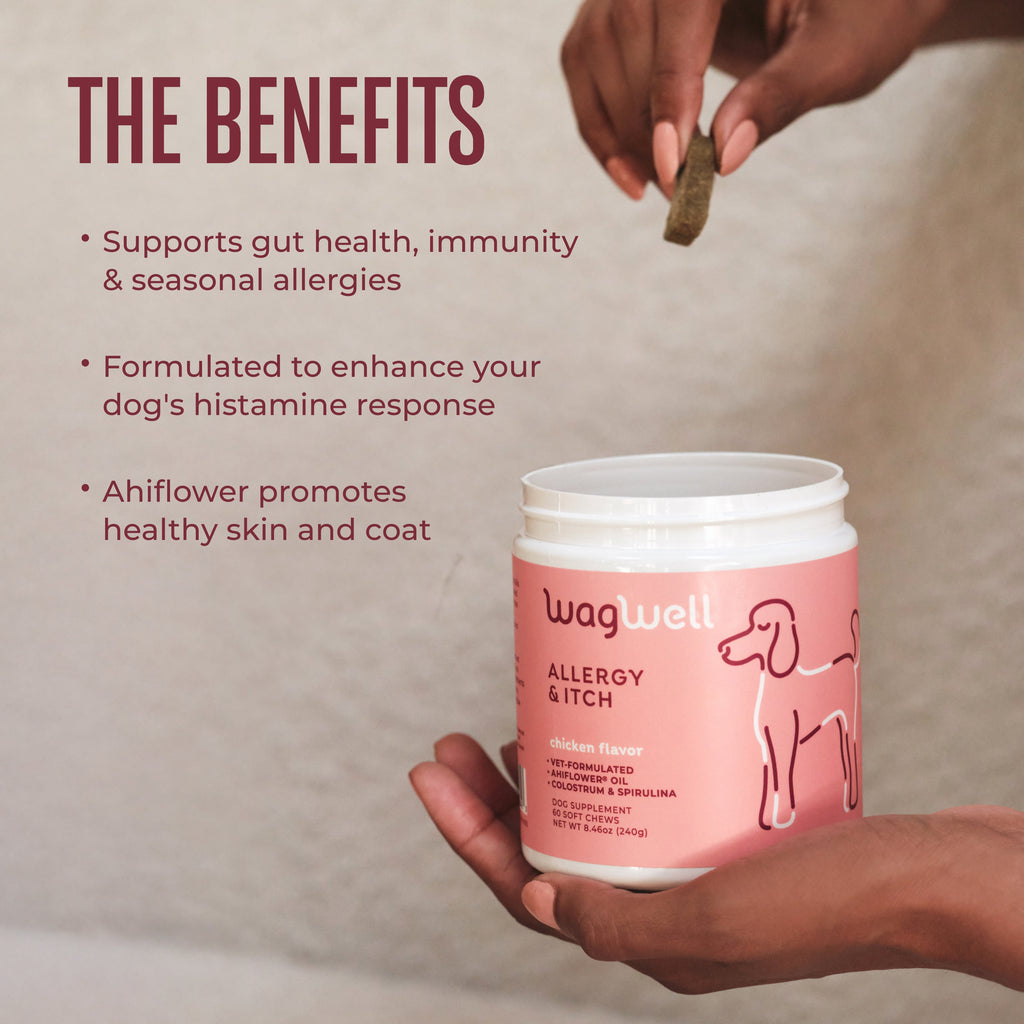 Dog Allergy and Itch Support Chews product image 3