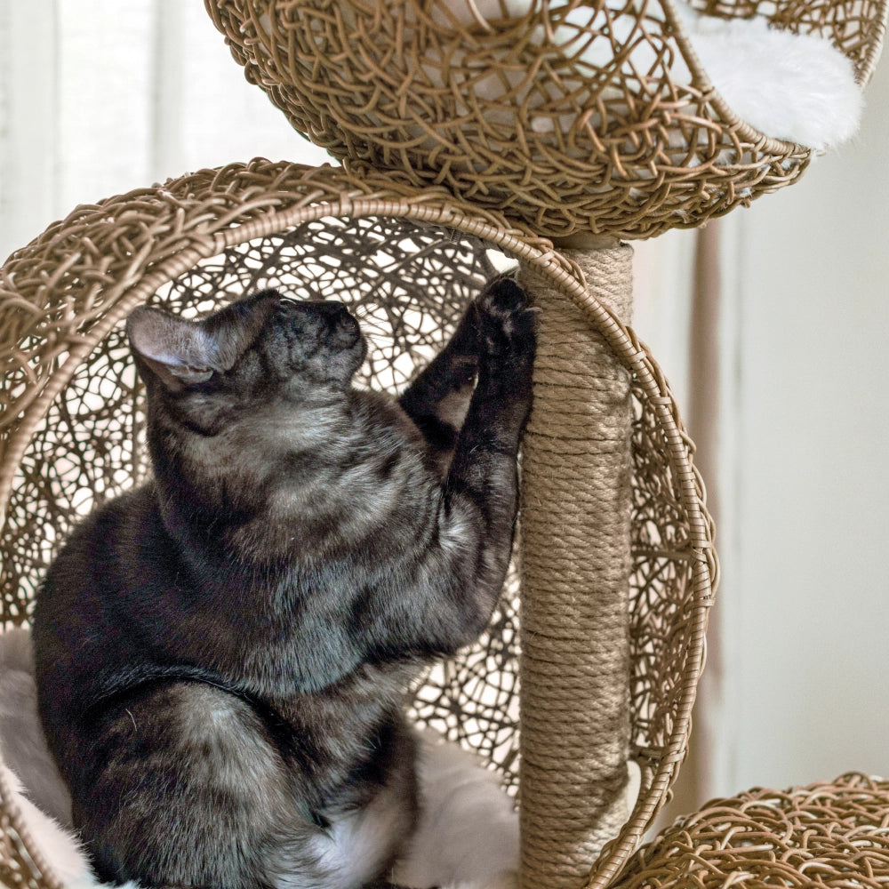 Three-Cave Rattan Cat Tree product image 3