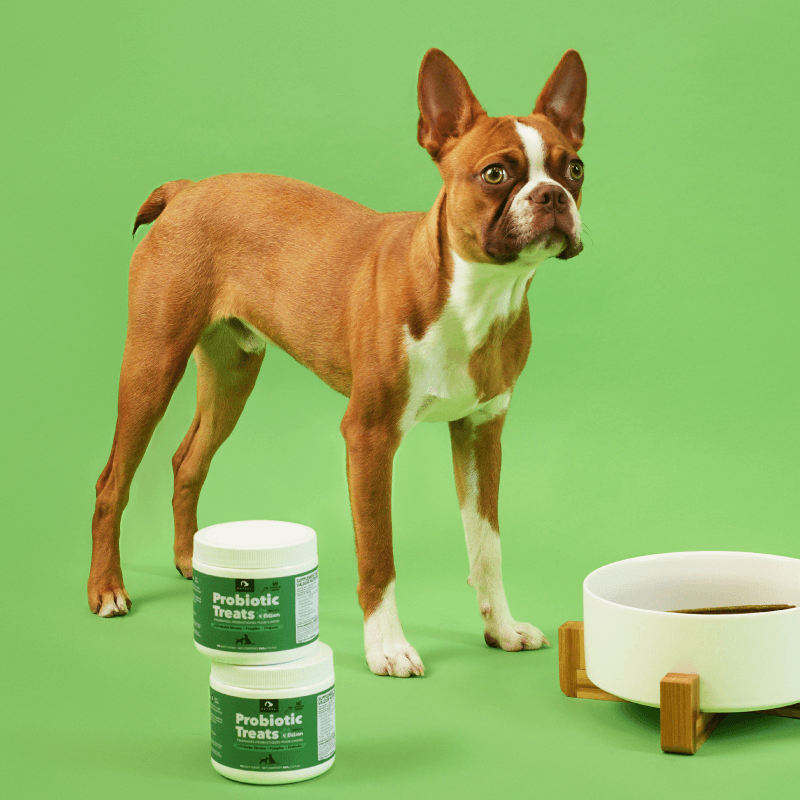 Dog Probiotic Treat product image 3