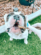 Whole Smelt Pet Treats product image 3