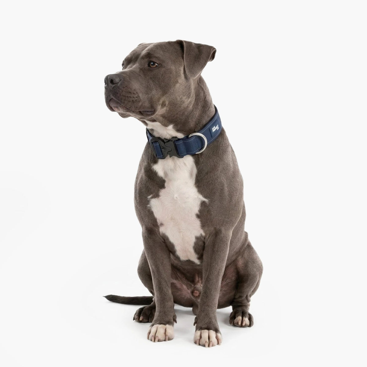 Tactical Dog Collar product image 3