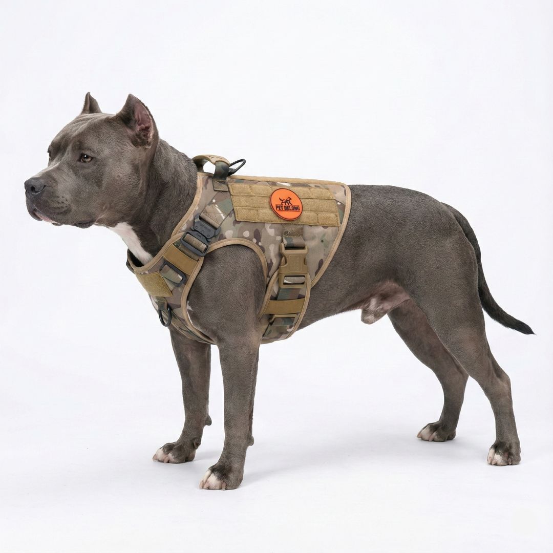 Tactical No-Pull Dog Harness product image 3
