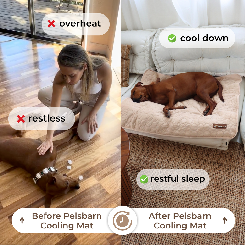 Dog Cooling Mat product image 3