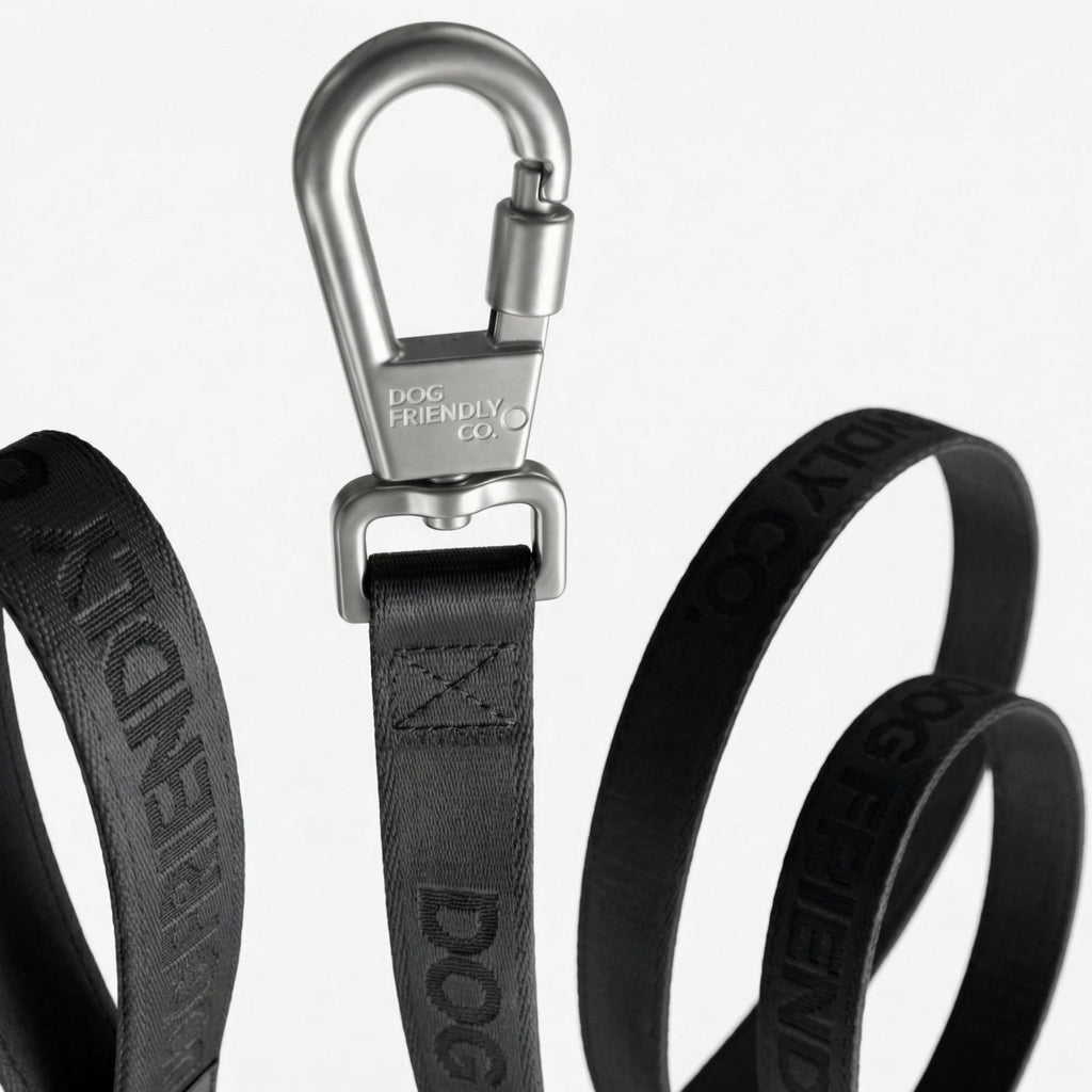 Long Dog Leash product image 3
