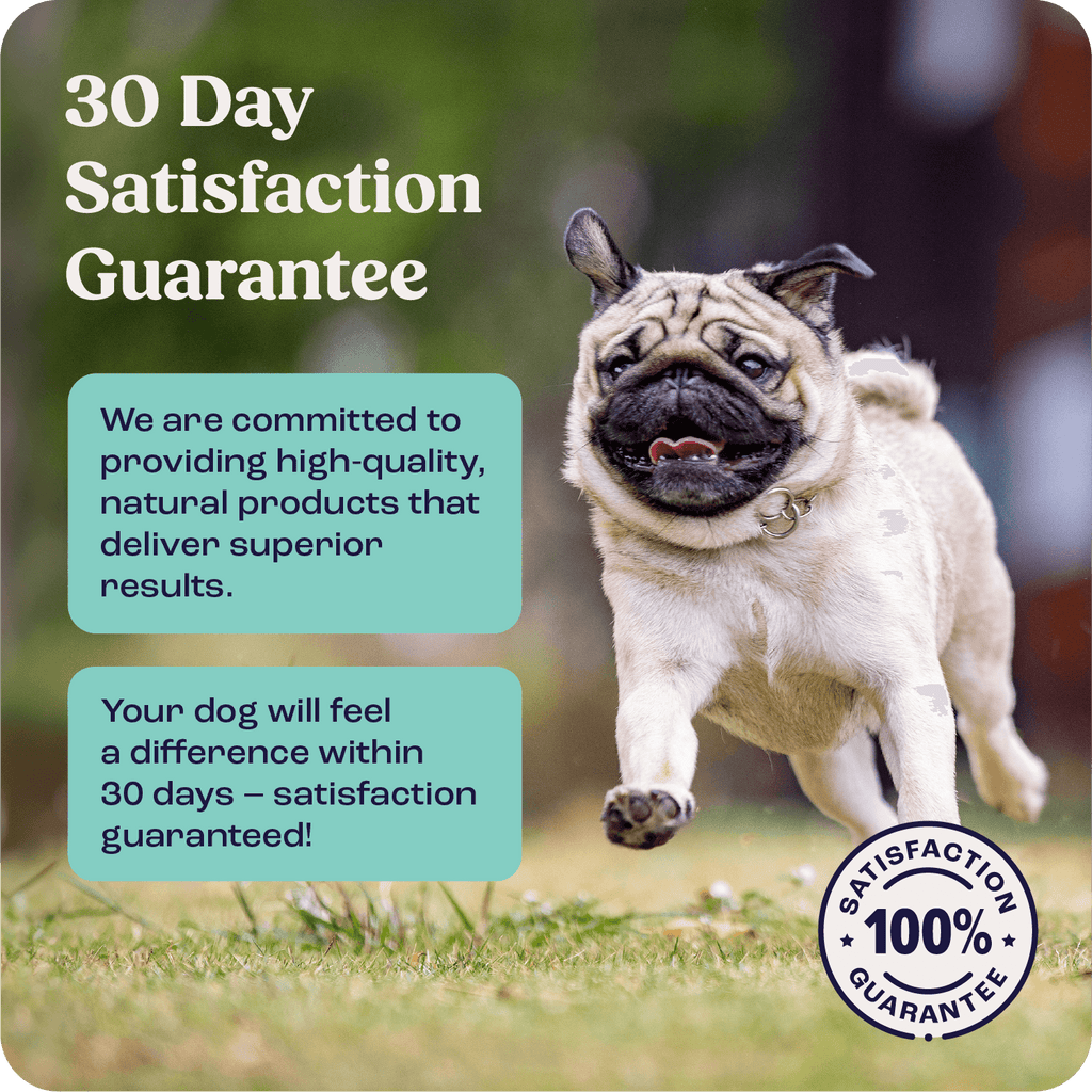 Dog Joint Supplement product image 3