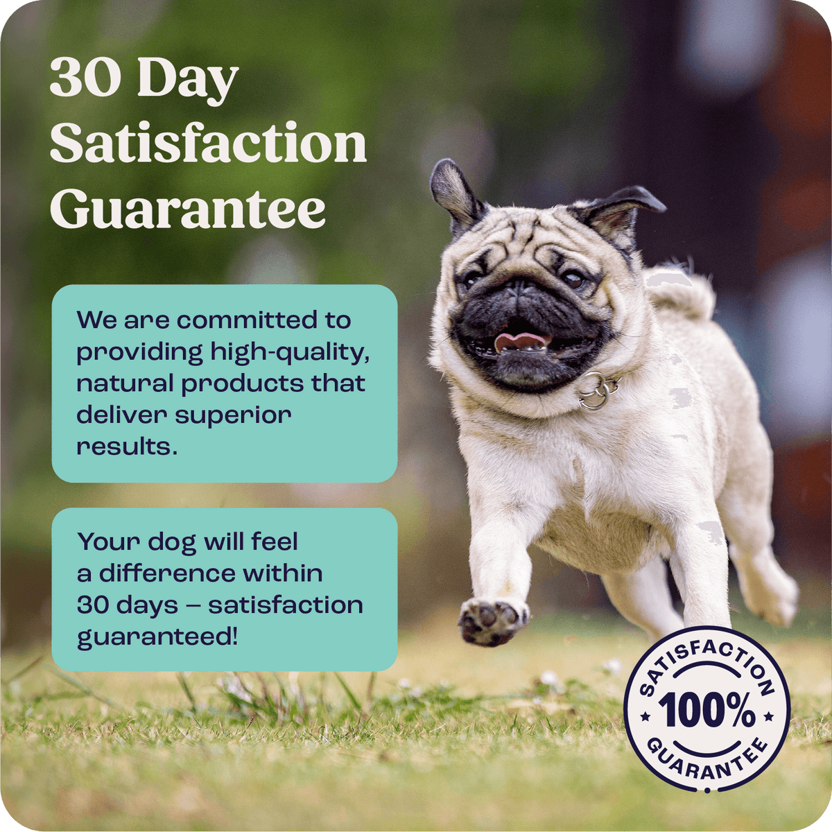 Dog Joint Supplement product image 3