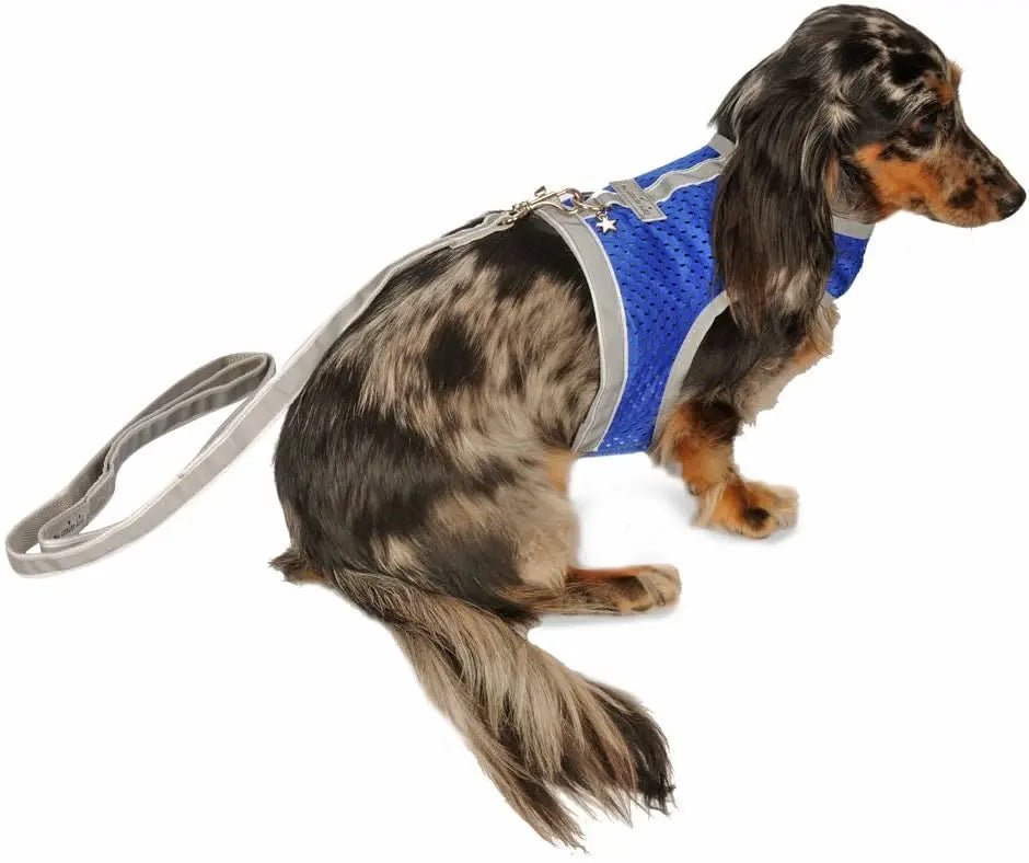 Reflective Mesh Small Pet Harness product image 3