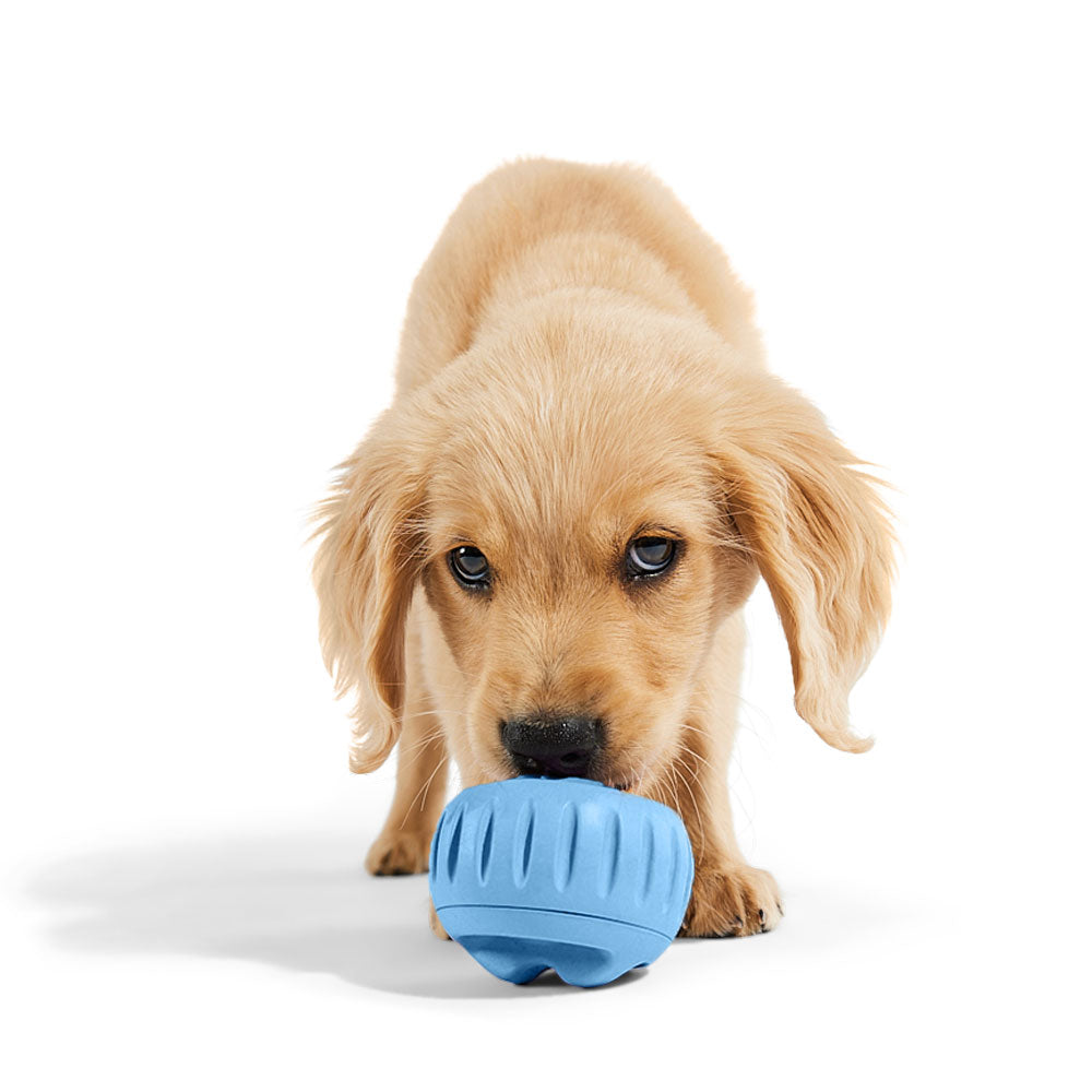 Dog Treat Toy product image 3