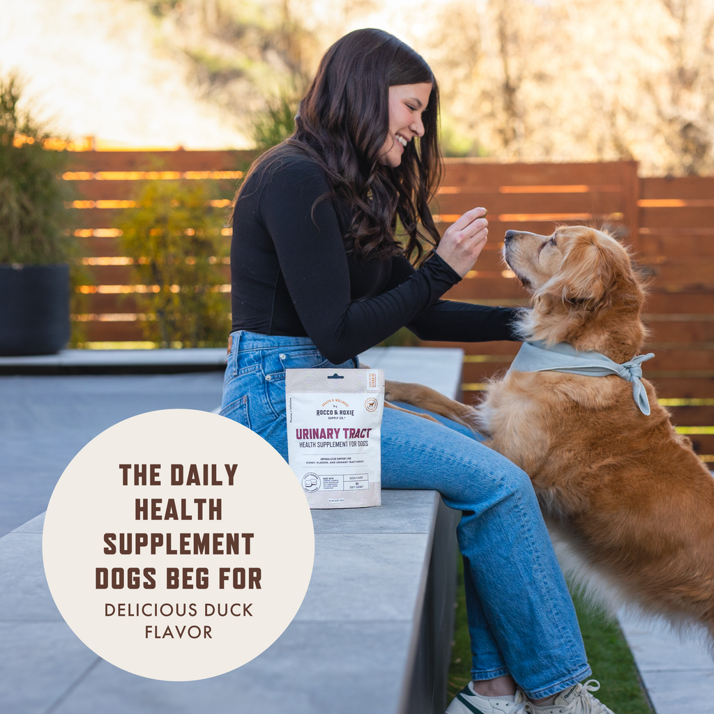 Dog Urinary Supplement product image 3