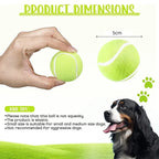 Dog Tennis Balls product image 3