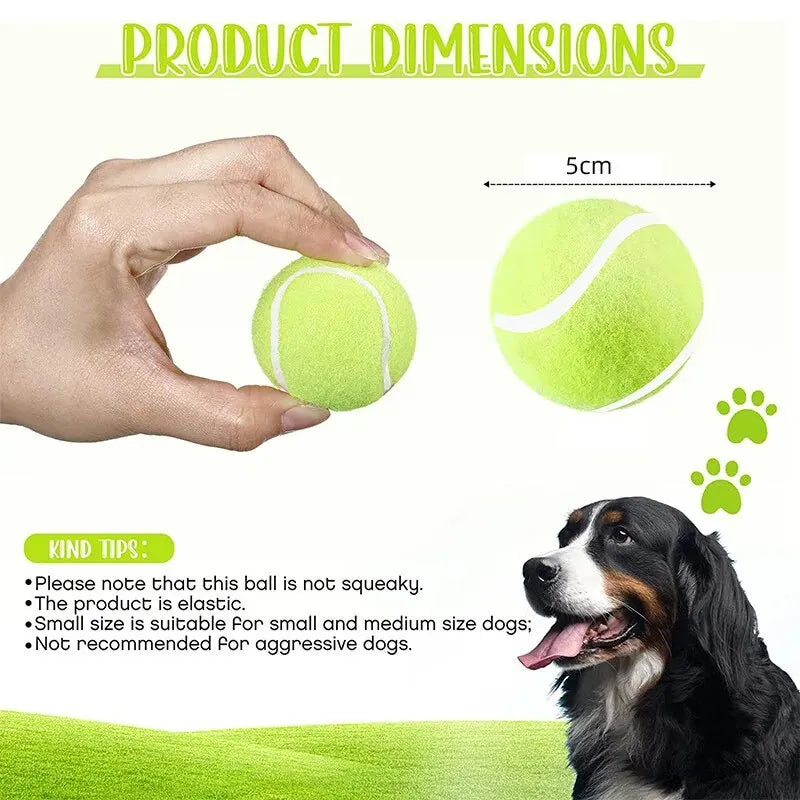 Dog Tennis Balls product image 3