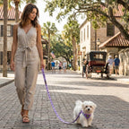 Step-In Dog Harness product image 3