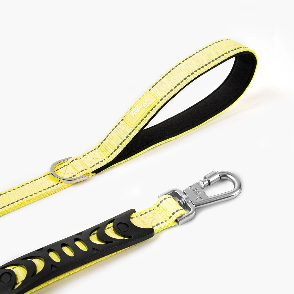 Bungee Dog Leash product image 3