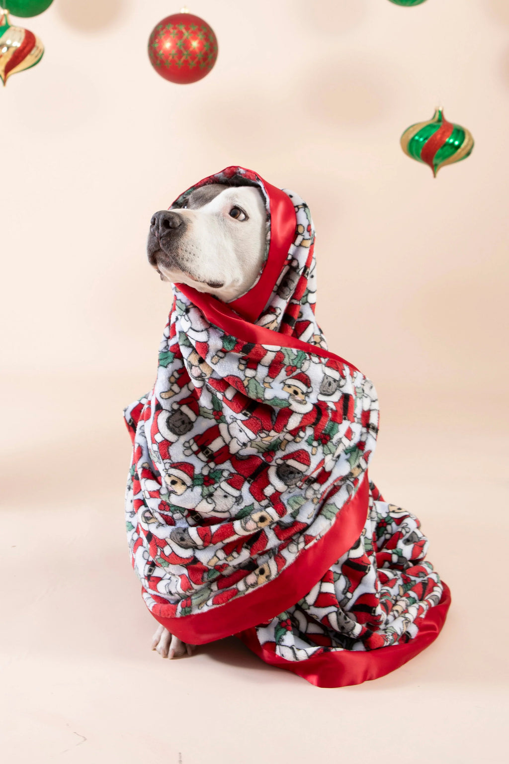 Pet Blanket product image 3
