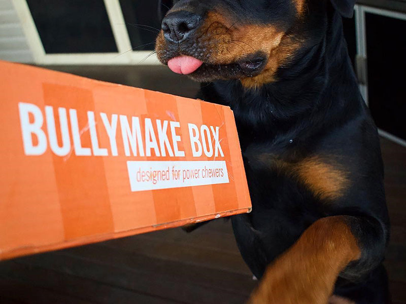 Dog Toy Box product image 3