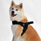Dog Harness product image 3