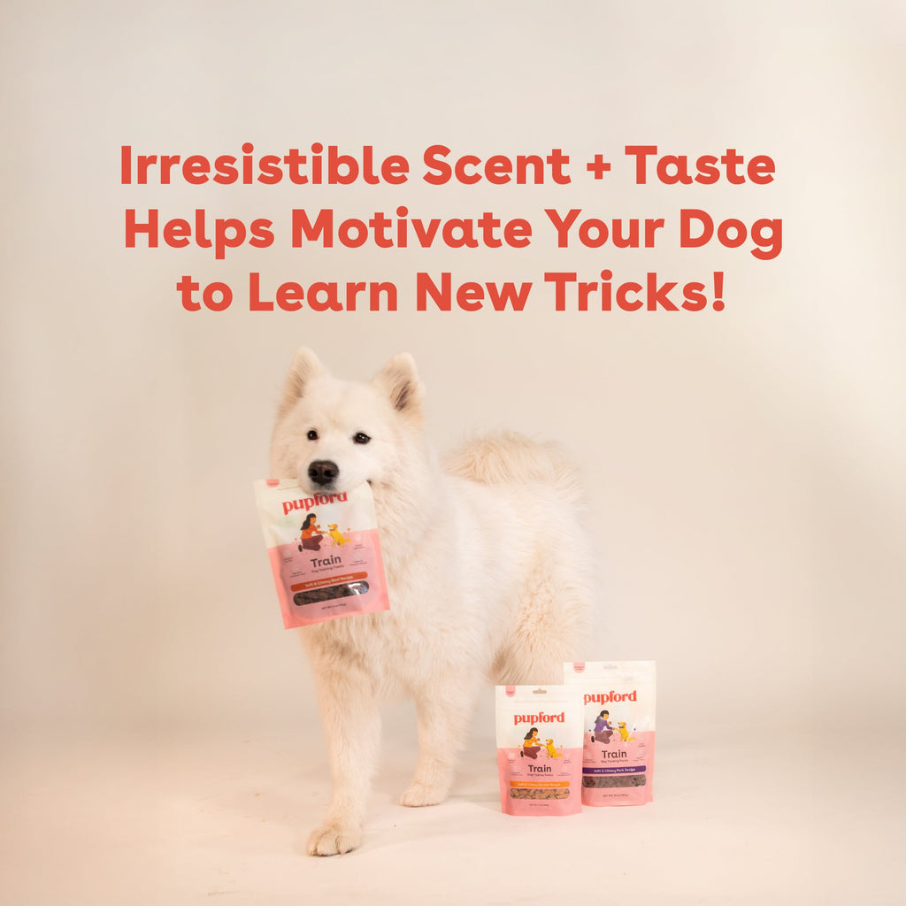 Dog Training Treat product image 3