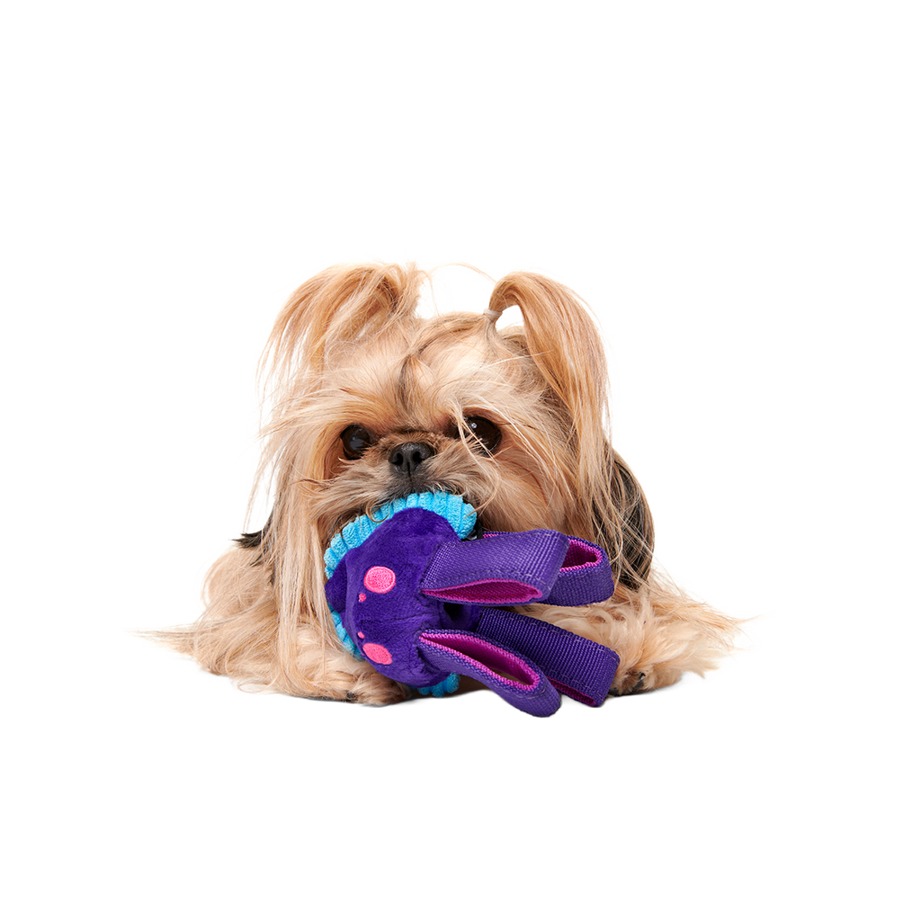 Two-Layer Tug Dog Toy product image 3