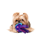 Two-Layer Tug Dog Toy product image 3