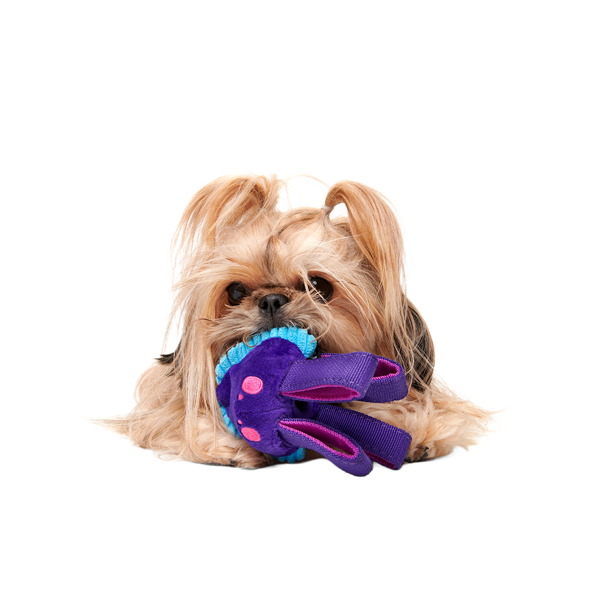 Two-Layer Tug Dog Toy product image 3