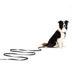 Dog Training Leash product image 3