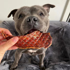 Natural Dog Treat Bundle product image 3