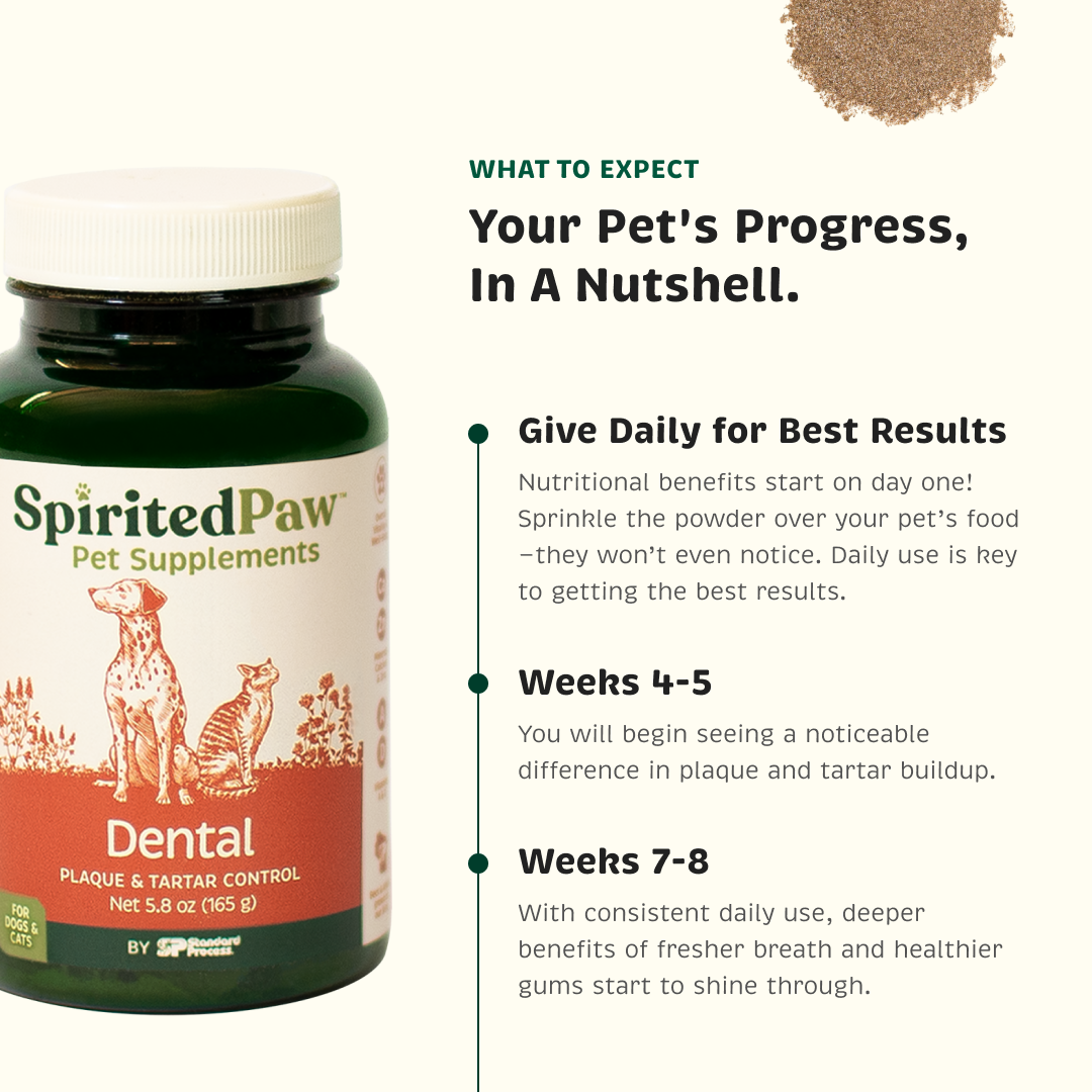 Dog and Cat Dental Powder product image 3