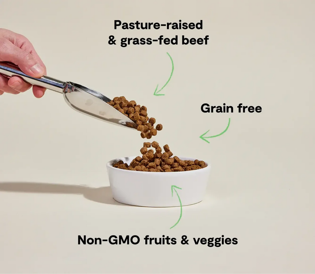 Dry Dog Food product image 3
