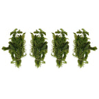 Aquatic Plants product image 3