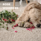 Dog Perfume product image 3