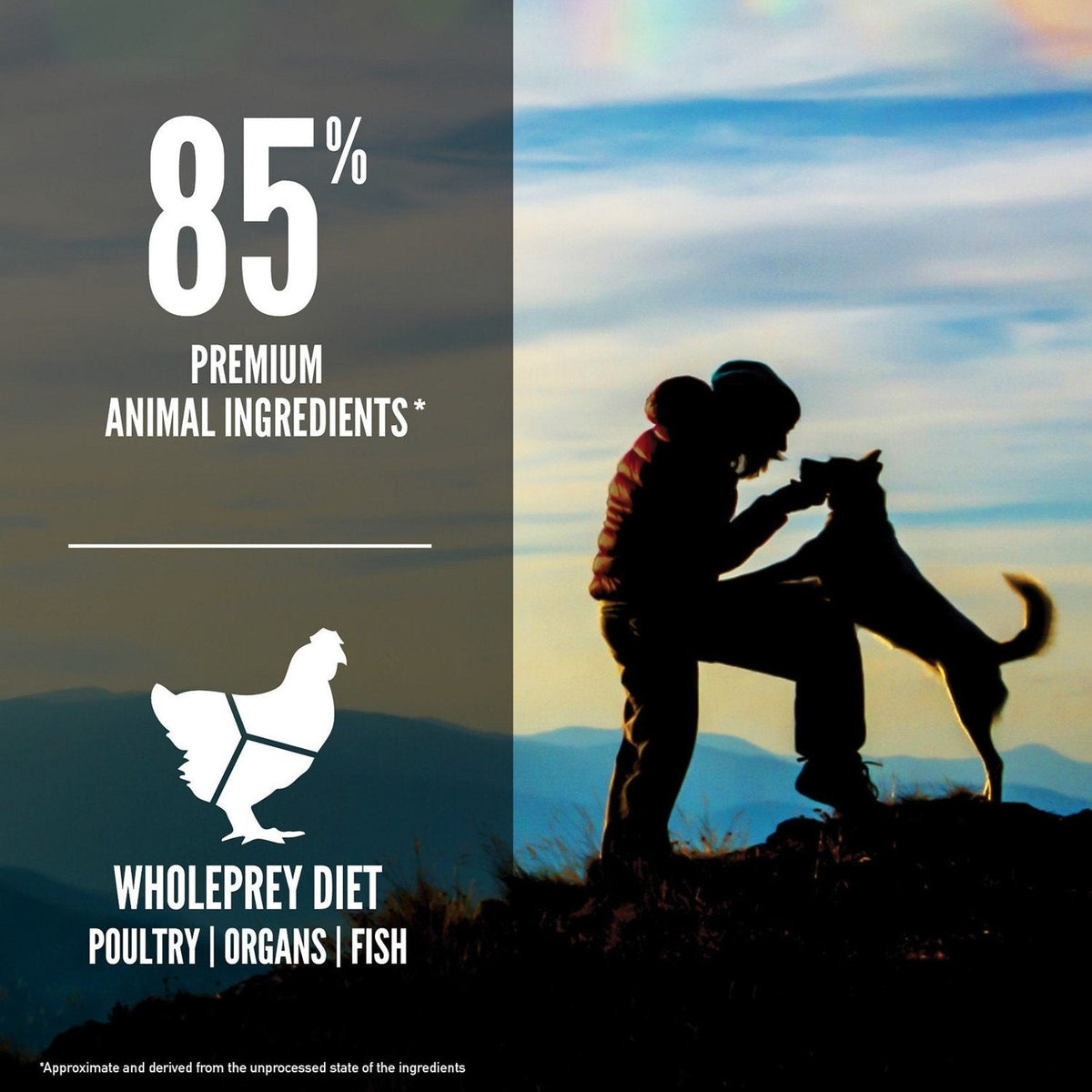 Dry Dog Food product image 3