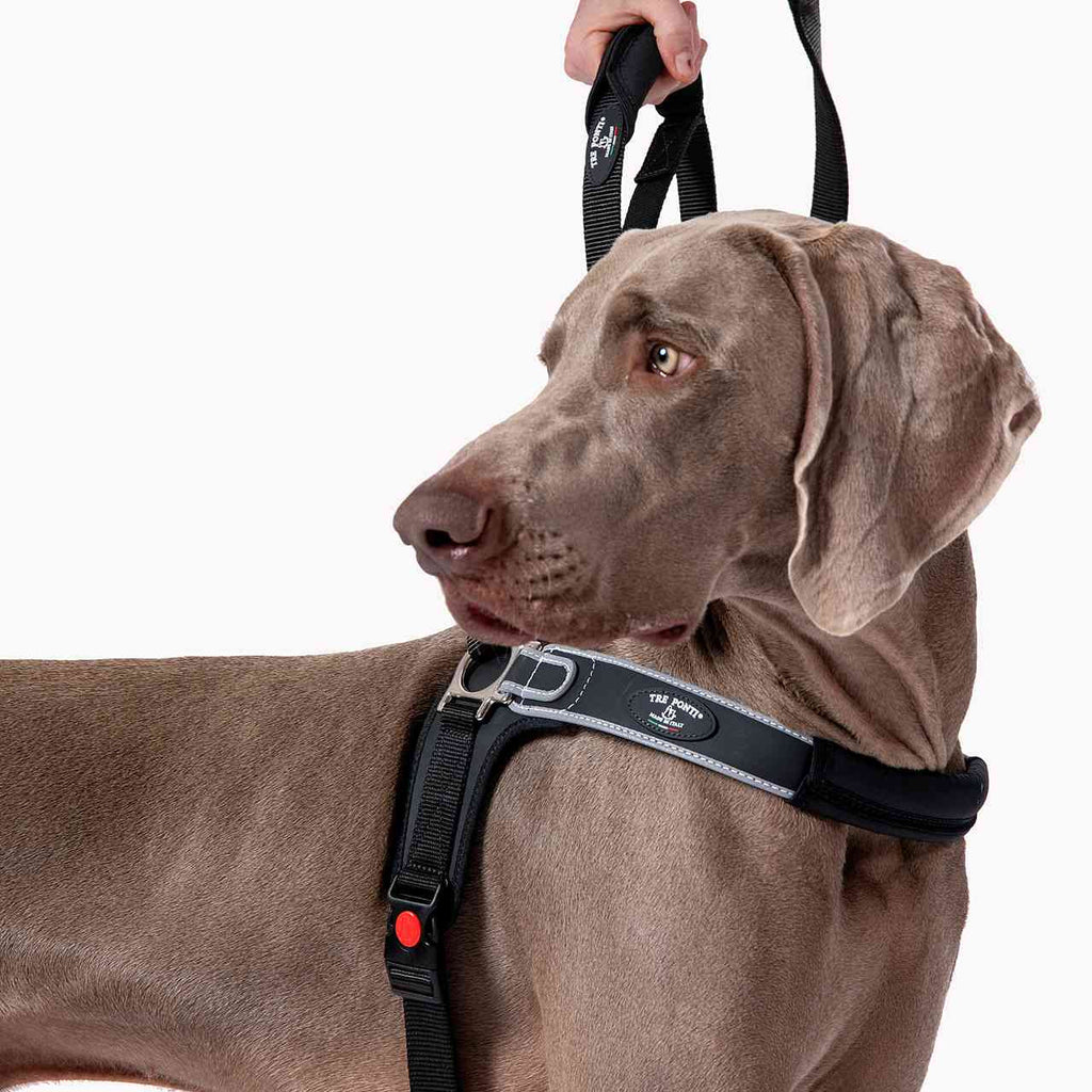 Reflective Martingale No-Pull Dog Harness product image 3