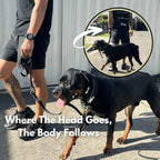 Dog Head Halter product image 3