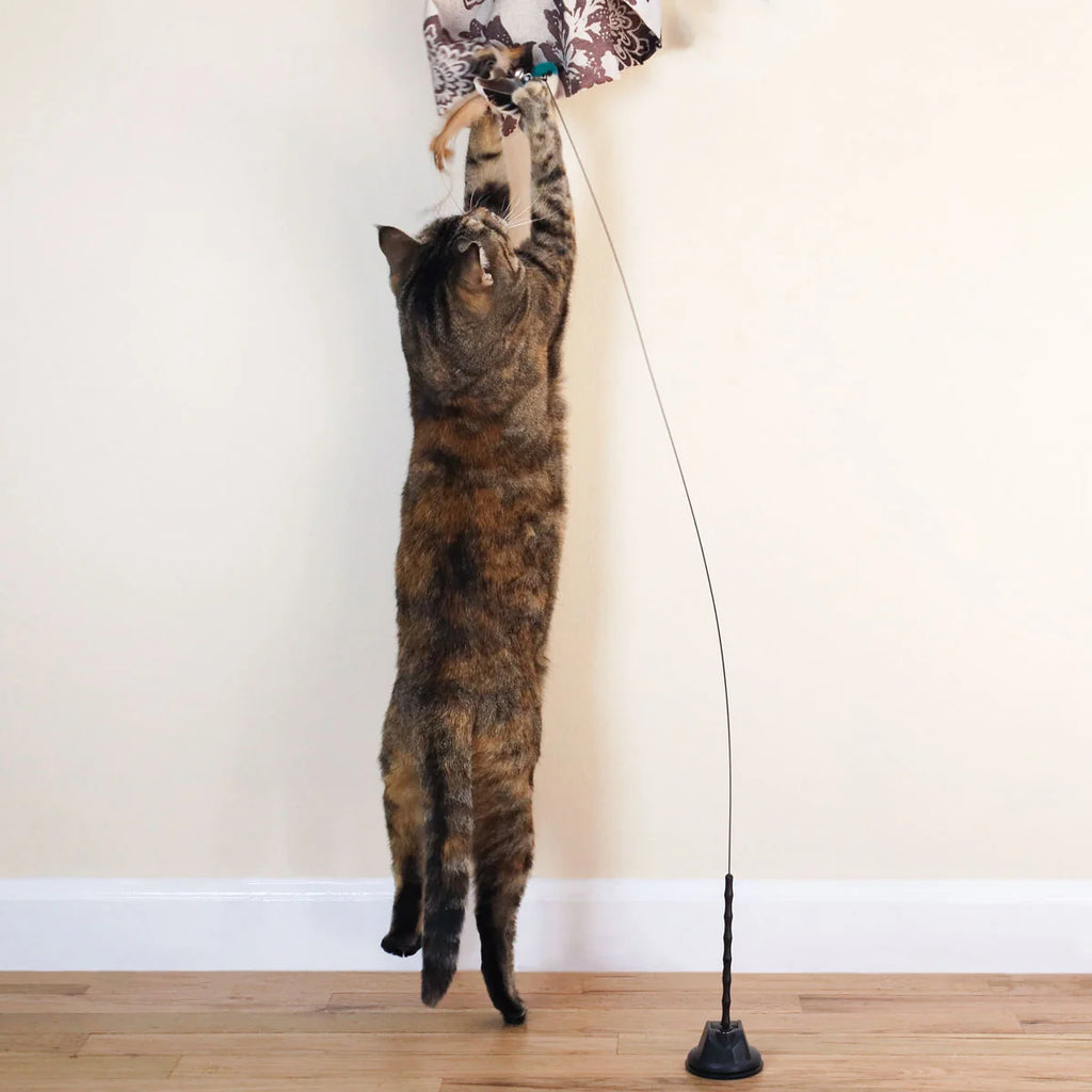Cat Toy Attachments product image 3