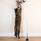 Cat Toy Attachments product image 3