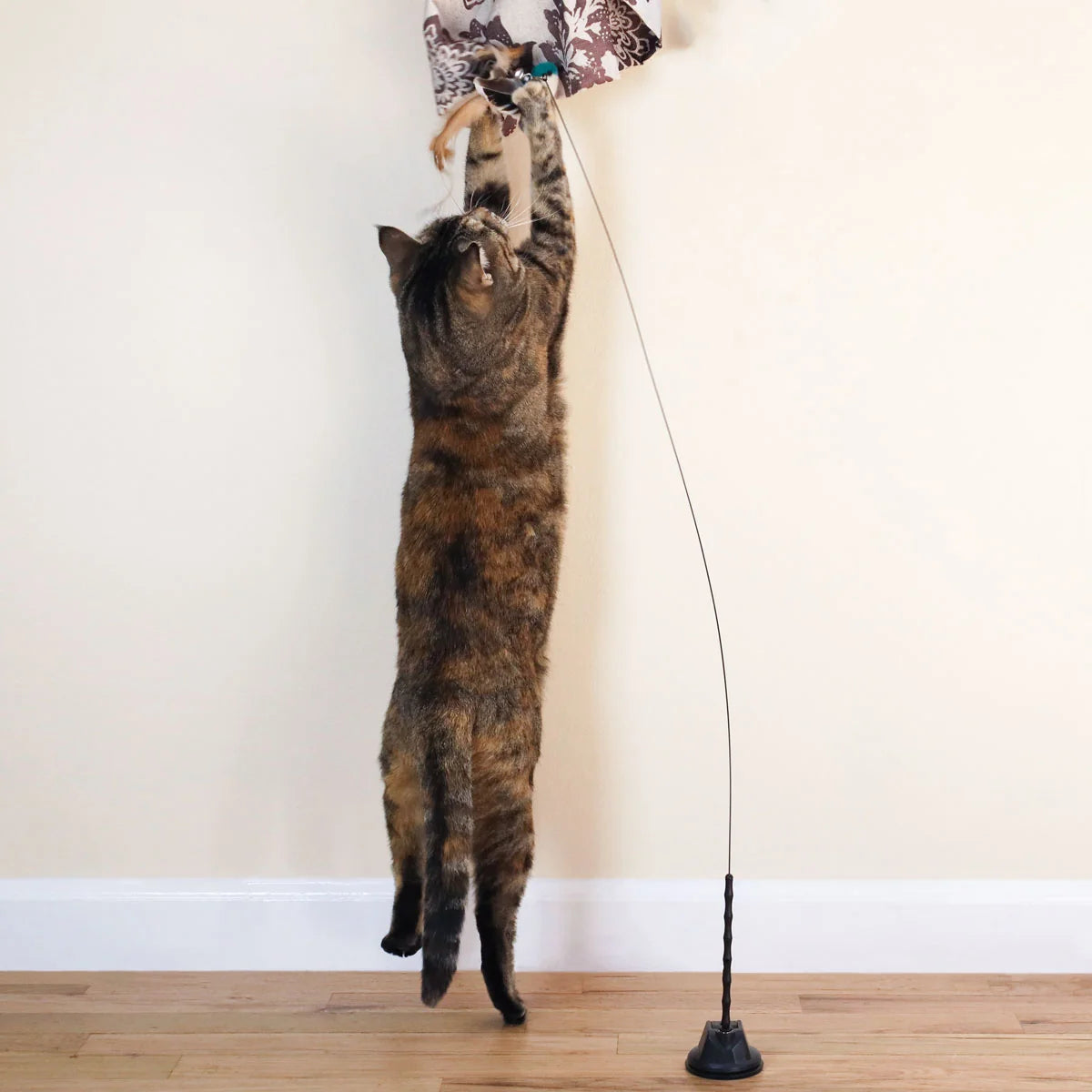 Cat Toy Attachments product image 3